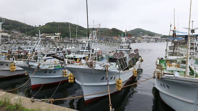 〝海の幸を未来に残す〟と仲間と挑んだ7年間、ようやく日本の新しい一歩が始まった