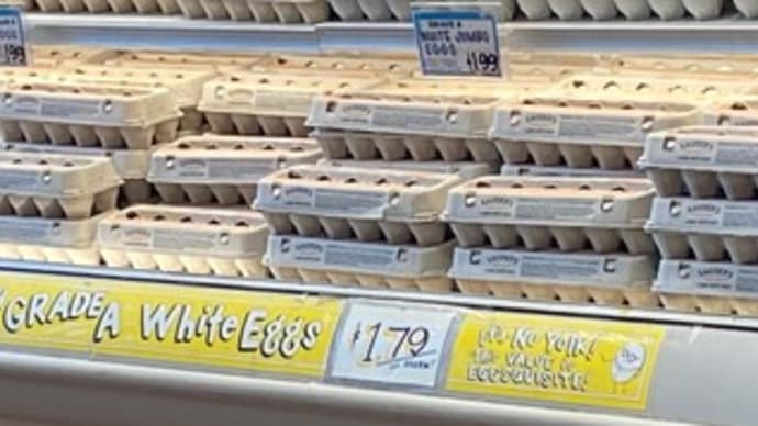 卵の値段が下がりました in NYC