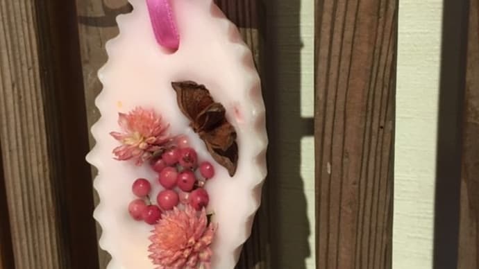 22日ワークショップのこと。桜のこと