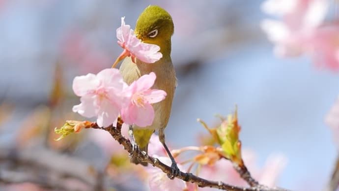 今日は暖かい