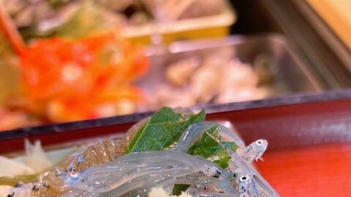 朝どれ生しらすののっけ寿司を漁師の漢気タイムでご提供！