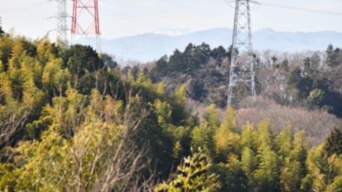 2021年1月4日 今年最初の森歩き