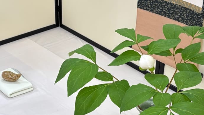 研修会