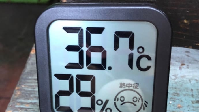 熱中症の危機を回避