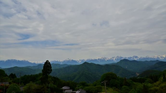 大岡村の道祖神