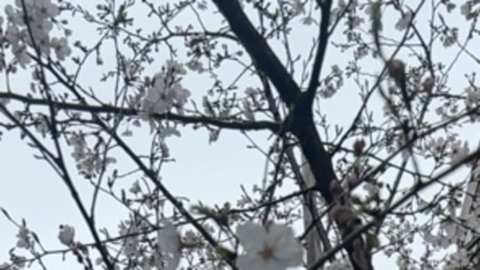 BOYと一緒