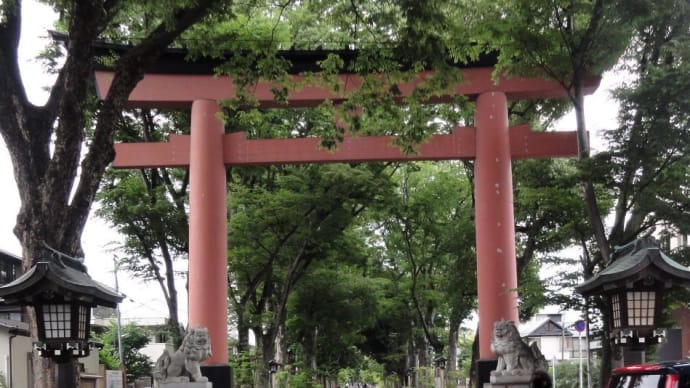 首都圏に点在する約280の氷川神社の本社で2400年の歴史を持つ屈指の古社!