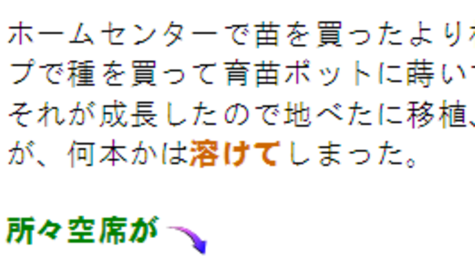 ナスの経過