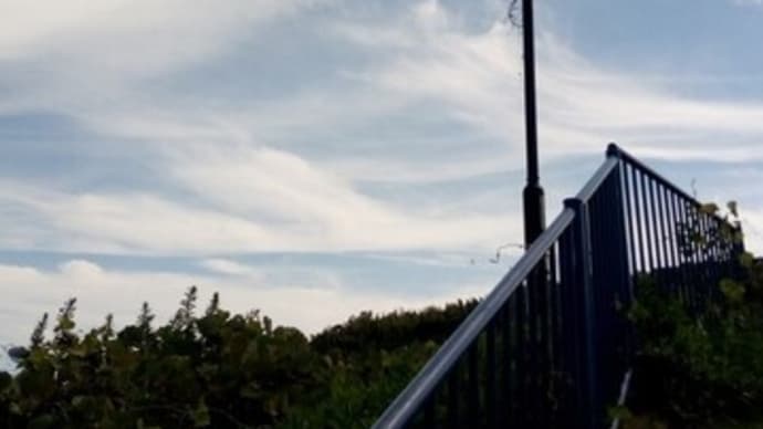 2020-09-23 Photo