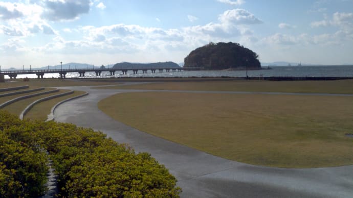 今日の竹島海岸