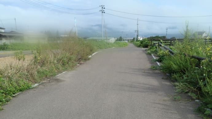 自分ルール☆散歩編。の事。