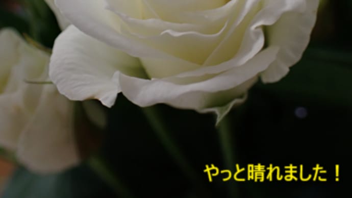 いいことあるかなぁ~