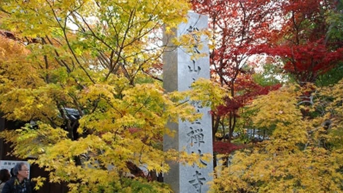 京都の紅葉と言えば 永観堂