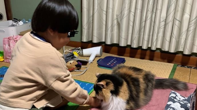風邪ひいた