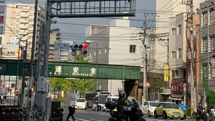 シャッター開いた⁉️