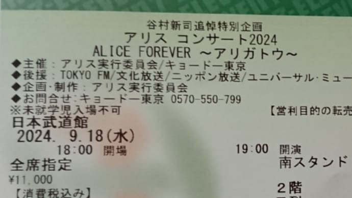 アリスだ