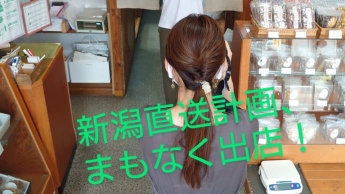 「新潟直送計画」出店の為、取材来て頂きました!