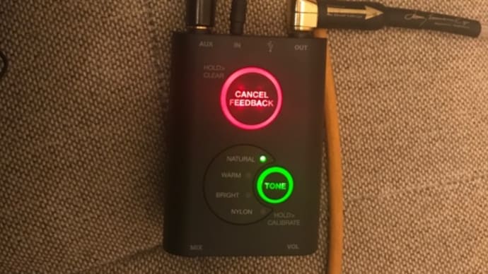 レインソング Rain Song(エレアコ)奮闘記・完結(iRig acoustic stage編)