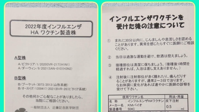 今度は、インフルエンザ予防接種。