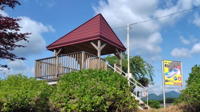 函館山登る