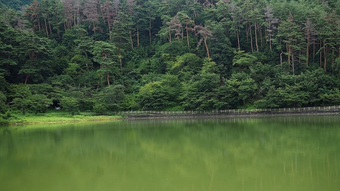 ★千鹿頭池にて 2019