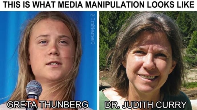 Greta Thunberg Is Being Used By The Corporation And The Media.  😕🤔🤨🧐🤪☀️🌤🌦❄️👨‍🔬