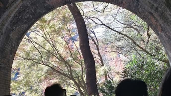 愛岐トンネル群 秋の特別公開2021 その3
