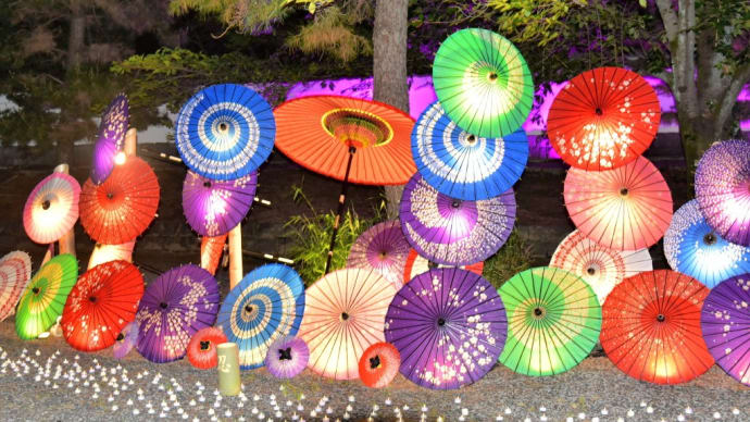 忍城「希望の光_2024年 6月🌷」