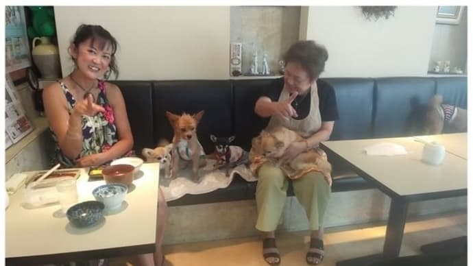 ♪ 犬、猫であふれた喫茶・レストラン『純』の昼下がりは、犬、犬、犬…、猫!