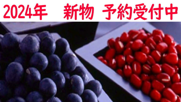 「丹波黒豆」、「丹波大納言あずき」の新物、予約受付中。