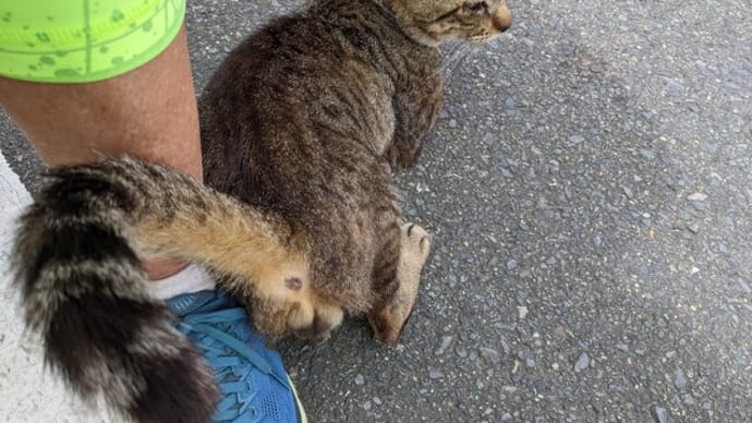人にも生き物にも優しい社会目指して🥰