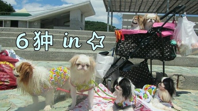 ♡6狆♡IN浪早ビーチ~(*´▽`*)・・・1ラブINハウスぅ~(-_-;)