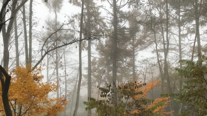 朝霧の軽井沢