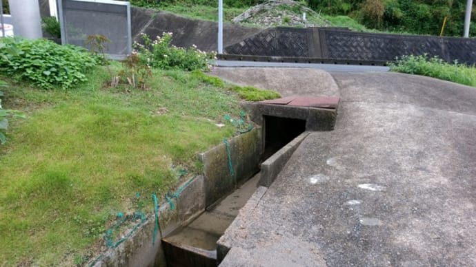 雨上がりの朝