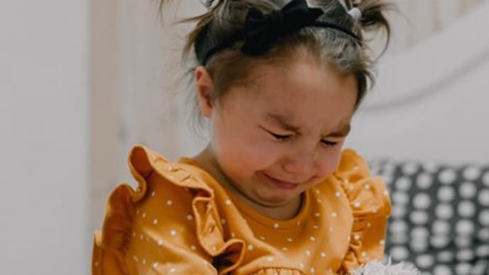 子どもの想いと親や支援者の想いの違い