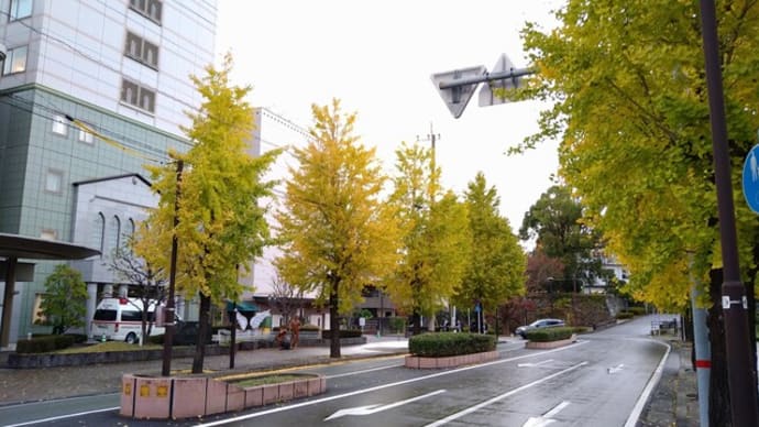 街はすっかりXmas気分♪