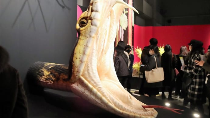 国立科学博物館で、『特別展 毒』を観ました。