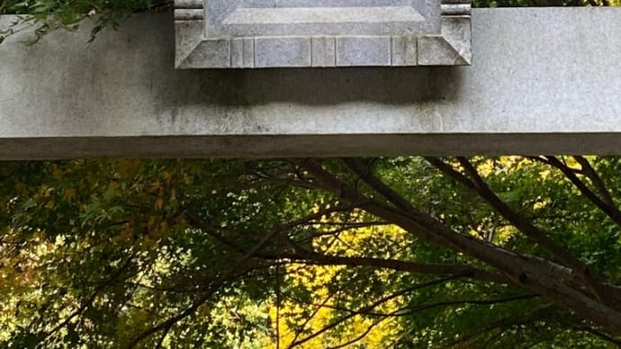 先日のみーあーのーﾀｿ・厳島神社さん