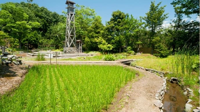 辰口温泉たがわ龍泉閣から