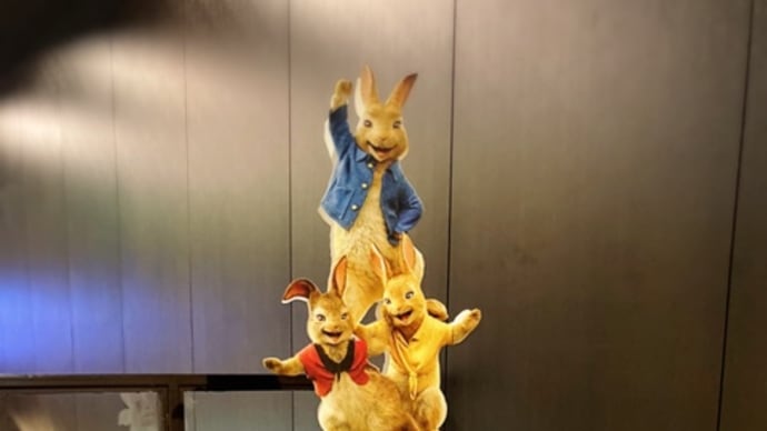 『夏への扉』、『ピーターラビット2』、見てきます!!