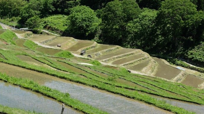 梅雨入り目前の旅(上田市、稲倉の棚田)