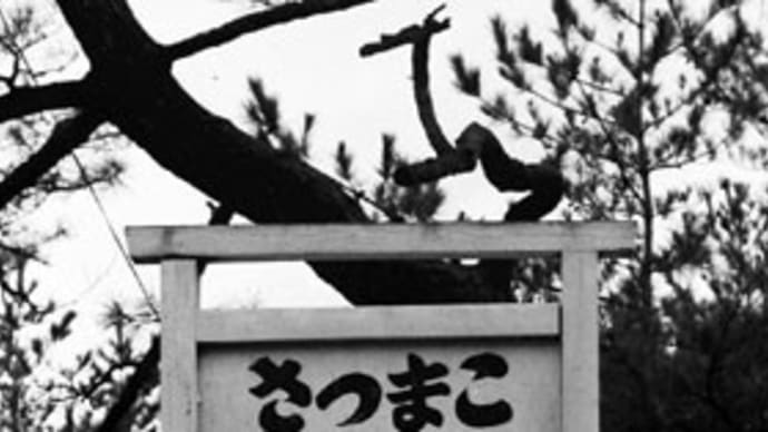 フィルムスキャンしたモノクロ写真集(6)