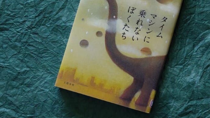 タイムマシンに乗れないぼくたち/寺地はるな を読みました。