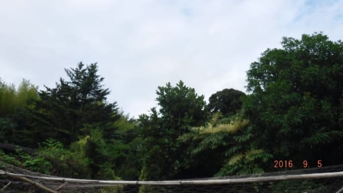 たまには遊びで里山に行きましょう!