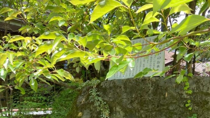 武田神社 御神水 ~山梨県~ #2