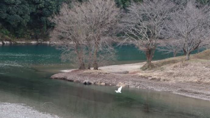 冬の湖畔