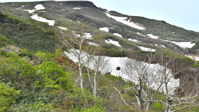 2024年5月19日、栗駒山山開き・後編