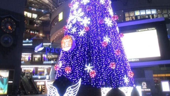 広島パセーラの巨大クリスマスツリー・・・今年もあと１か月と少し、景気回復！明るい明日に向けて輝き続けています！