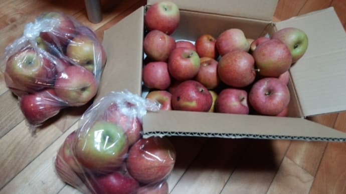 高野町のリンゴ🍎