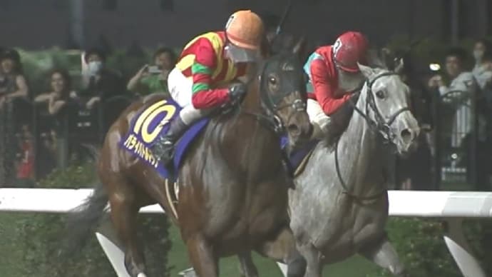 🐴おうまさん(23/6/15-16) 👑北海優駿・トリトン争覇